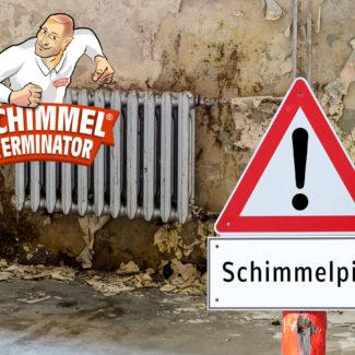 Schimmel-133420849-ST 