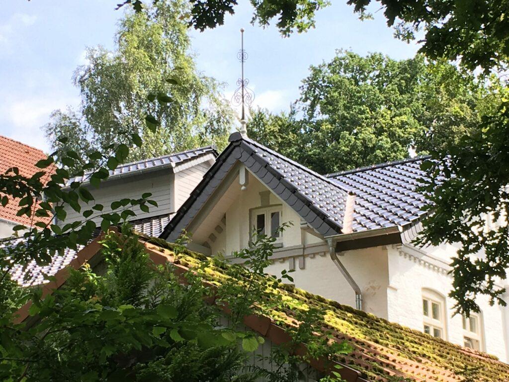 IMG_7668